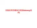 [课件]实验室常用载体介绍(Gateway技术)PPT