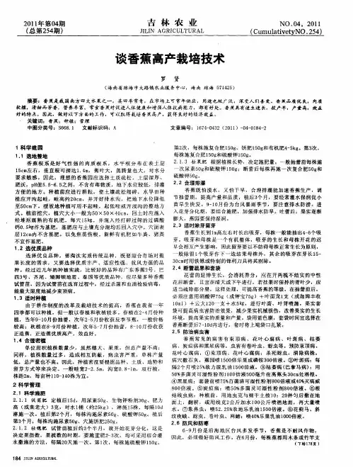 谈香蕉高产栽培技术