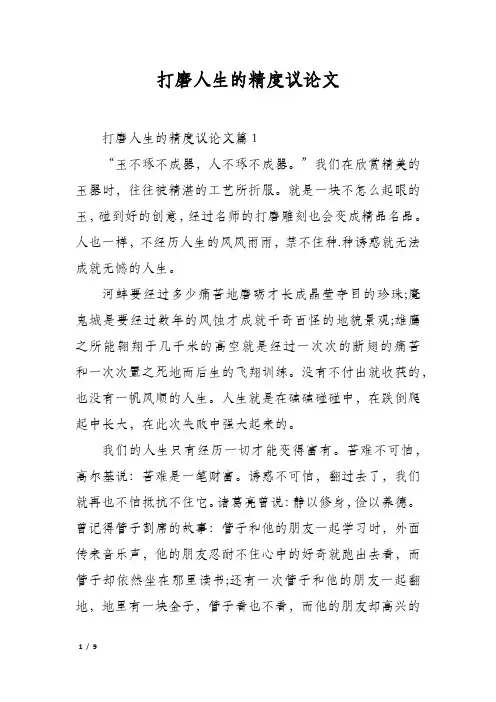 打磨人生的精度议论文
