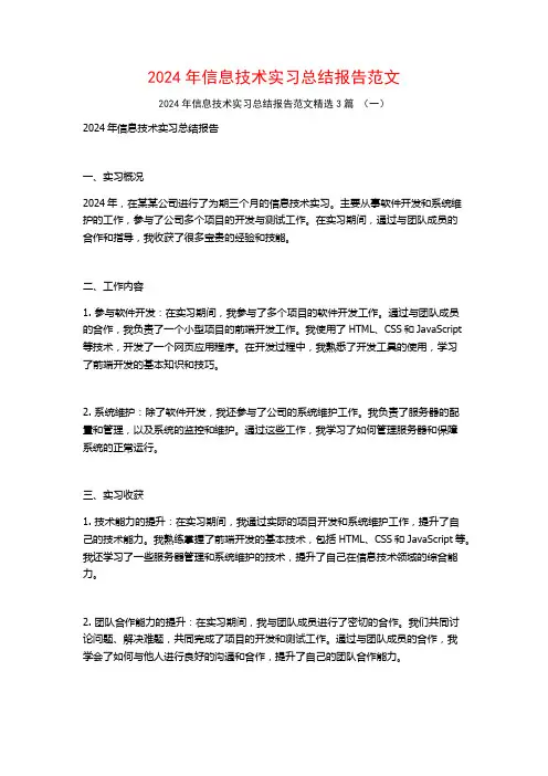 2024年信息技术实习总结报告范文3篇
