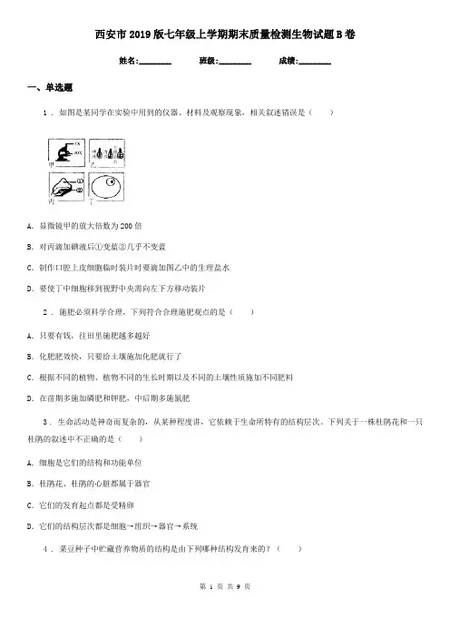 西安市2019版七年级上学期期末质量检测生物试题B卷