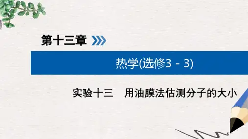 2019版高考物理一轮复习实验增分专题13用油膜法估测分子的大形件