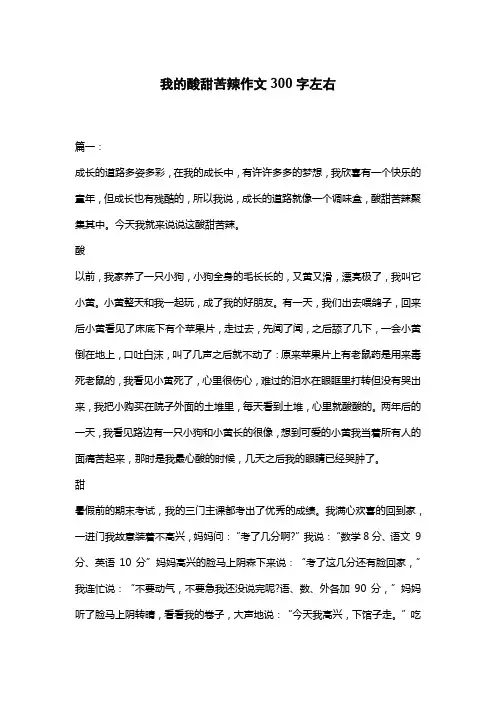 我的酸甜苦辣作文300字左右