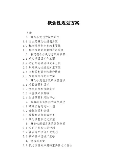 概念性规划方案