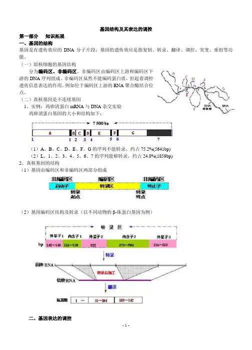 基因的结构与表达调控