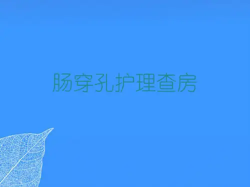 【正式版】肠穿孔护理查房 (2)PPT文档