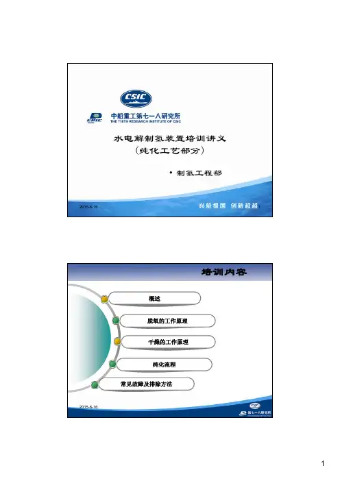 水电解制氢装置培训讲义(氢气纯化装置)