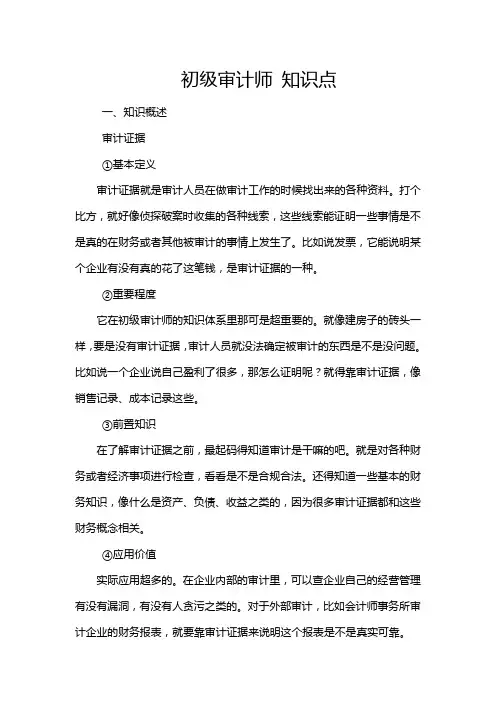 初级审计师 知识点