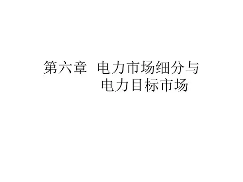 电力市场营销学第六章.pptx
