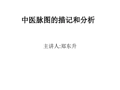 中医脉图的描记和分析