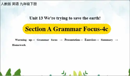 部编人教版英语九下Unit13第3课时(SectionA Grammar Focus-4c)