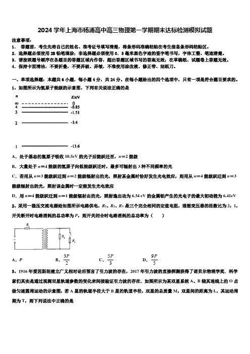 2024学年上海市杨浦高中高三物理第一学期期末达标检测模拟试题含解析