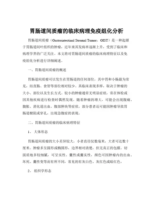 胃肠道间质瘤的临床病理免疫组化分析