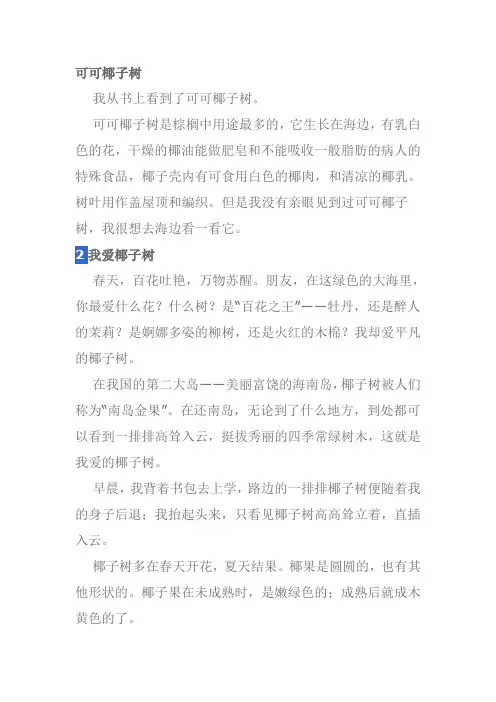 关于椰子树的作文