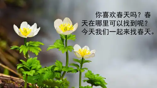 部编版二年级语文下册《2 找春天》ppt课件【精】