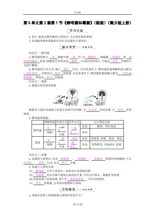 冀少版生物-八年级上册-第5单元第2章第1节《酵母菌和霉菌》(冀少版上册)