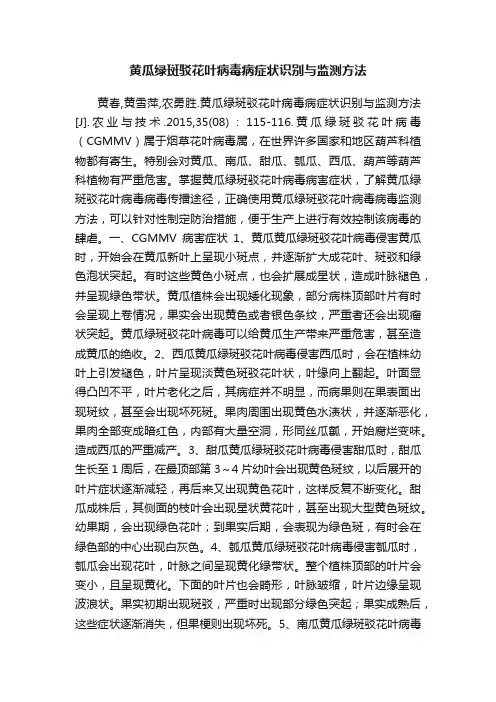 黄瓜绿斑驳花叶病毒病症状识别与监测方法