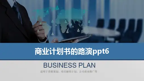 商业计划书的路演ppt6
