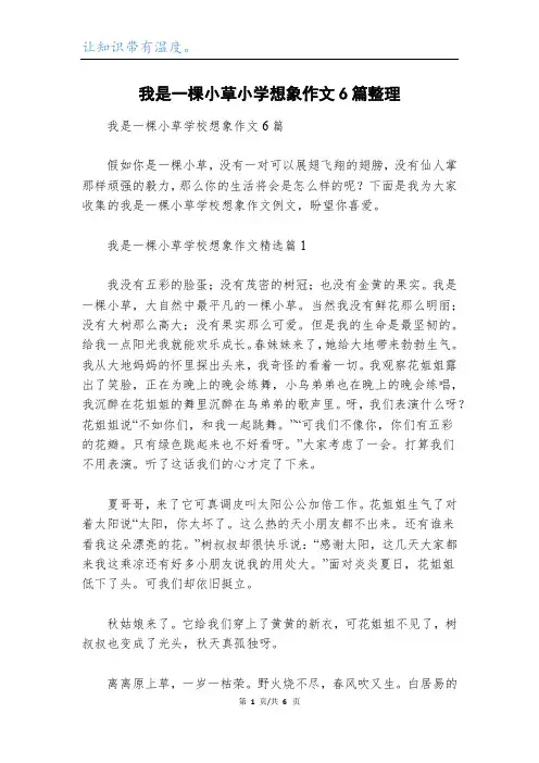 我是一棵小草小学想象作文6篇整理