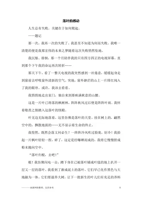 落叶的感动_初二作文