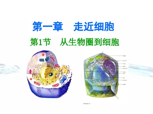 人教版高中生物必修一全套课件