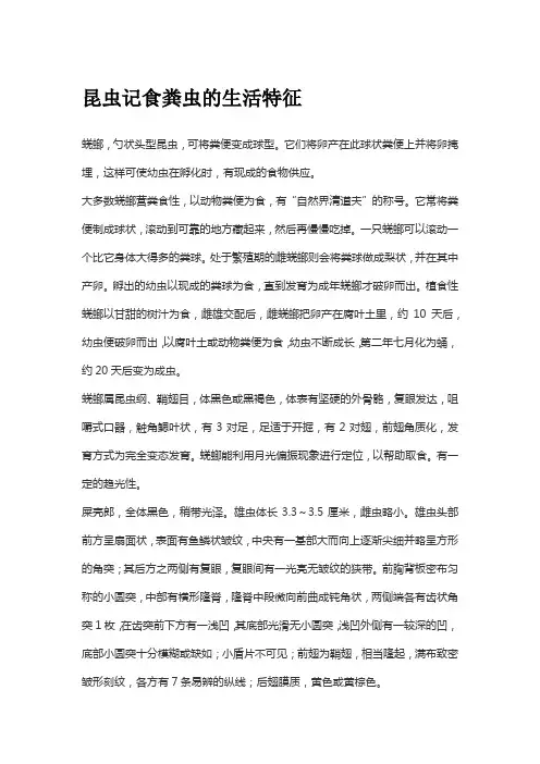 昆虫记食粪虫的生活特征