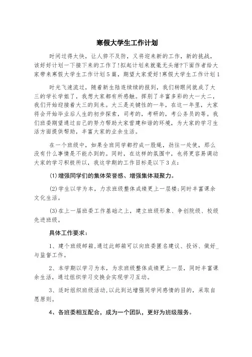 寒假大学生工作计划