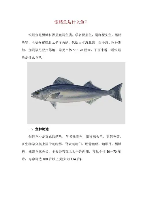 银鳕鱼是什么鱼？