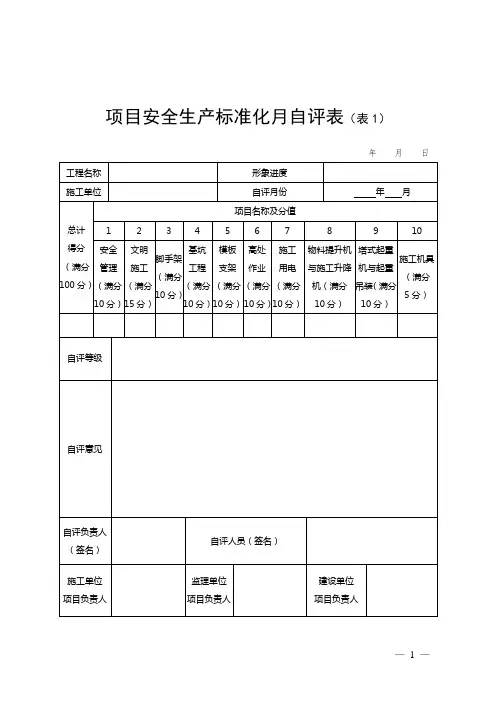 项目安全生产标准化月自评表
