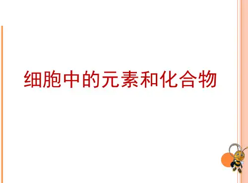 【新教材人教版生物】细胞中的元素和化合物优秀PPT课件1