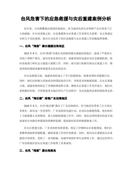 台风危害下的应急救援与灾后重建案例分析