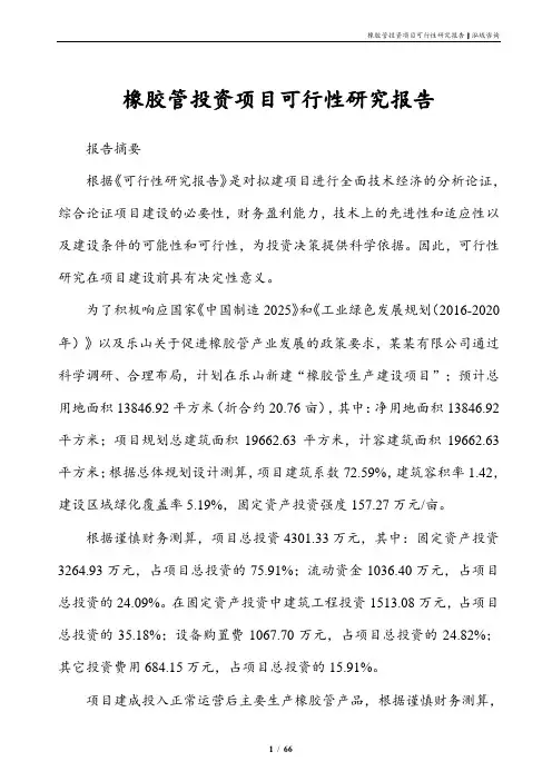 橡胶管投资项目可行性研究报告