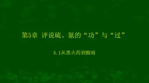 第5章 评说硫、氮的“功”与“过”