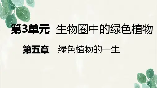七年级生物上册第三单元第五章第四节植物茎的输导功能课件新版苏教版