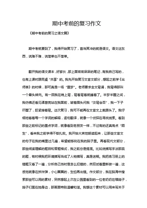 期中考前的复习作文