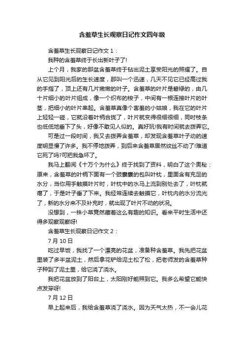 含羞草生长观察日记作文四年级