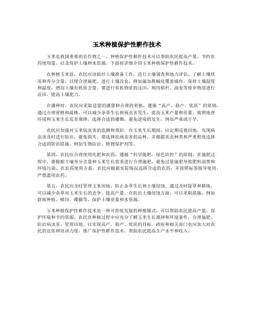 玉米种植保护性耕作技术