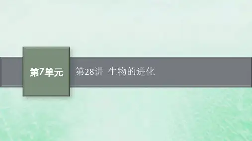 适用于新教材2024版高考生物一轮总复习第7单元生物的变异与进化第28讲生物的进化课件新人教版