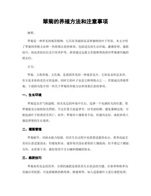 翠菊的养殖方法和注意事项
