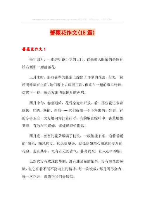 蔷薇花作文(15篇)