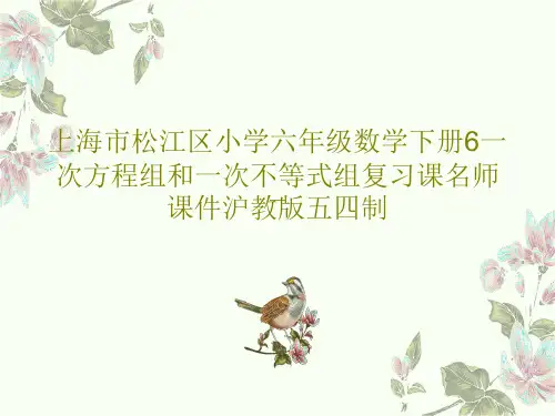 上海市松江区小学六年级数学下册6一次方程组和一次不等式组复习课名师课件沪教版五四制PPT共19页