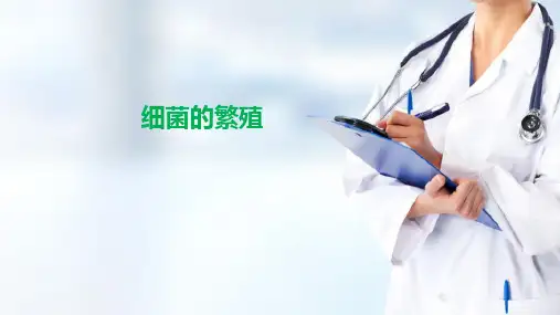 细菌的生理 细菌的繁殖(病原生物学与免疫学课件)