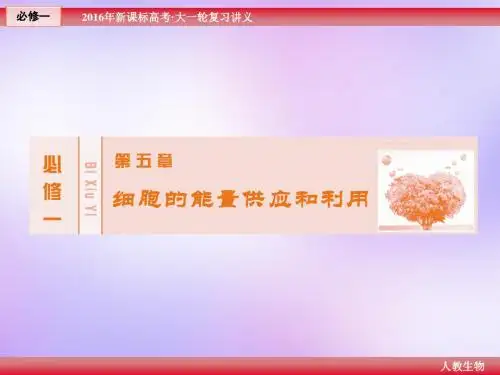 一轮复习 人教版必修1-第五章 第4节 能量之源——光和光合作用