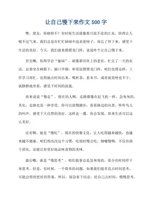 让自己慢下来作文500字