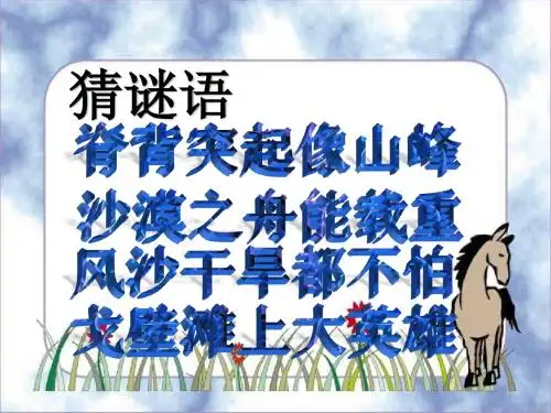 16、《找骆驼》PPT课件