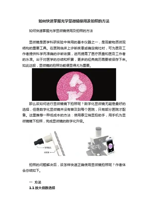 如何快速掌握光学显微镜使用及拍照的方法
