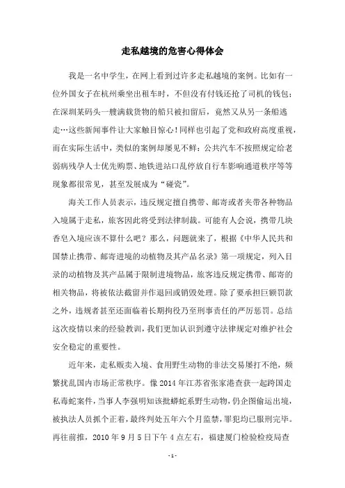 走私越境的危害心得体会
