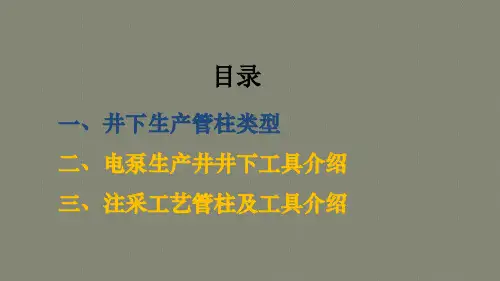 生产井井下工艺管柱结构原理及工具功能介绍