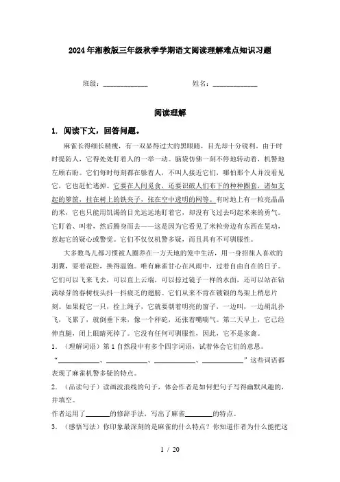 2024年湘教版三年级秋季学期语文阅读理解难点知识习题