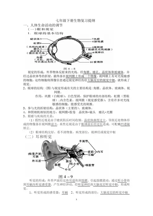 七年级下册生物复习提纲